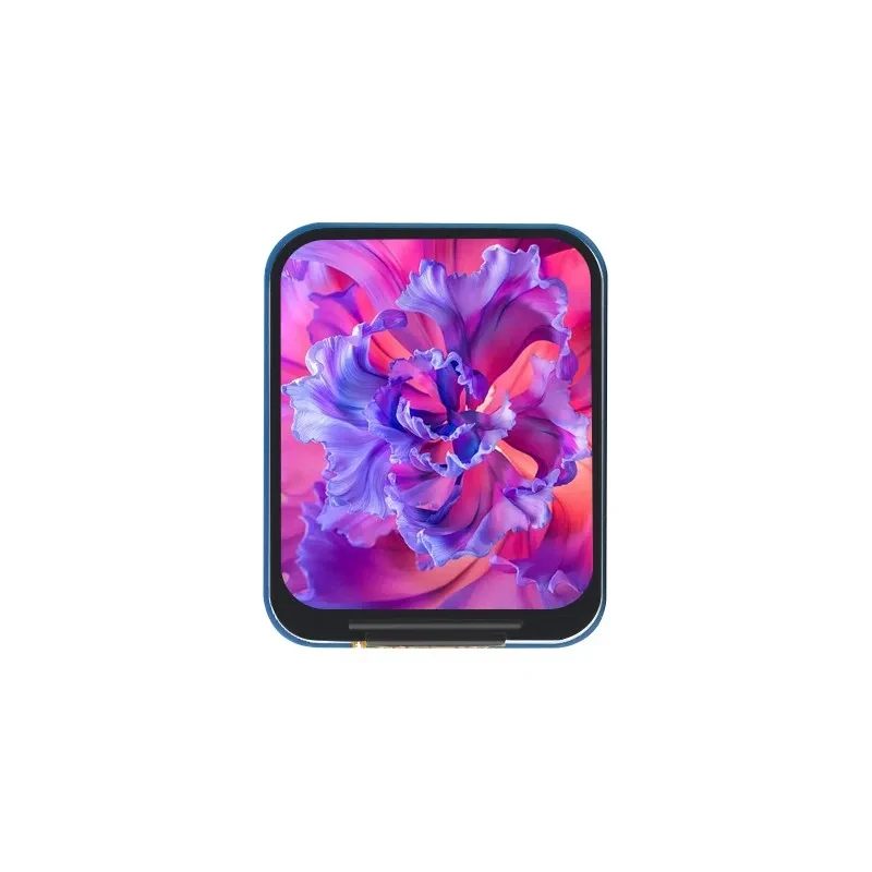 Module LCD IPS 1.69 pouces ST7 - Raspberry Pi Zero avis et prix